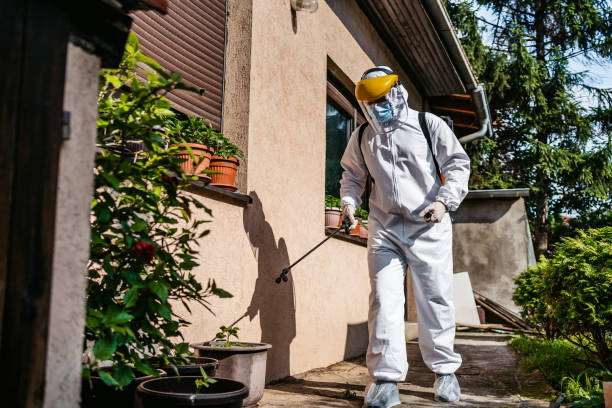 Best Termite Control Services  in Good Hope, AL